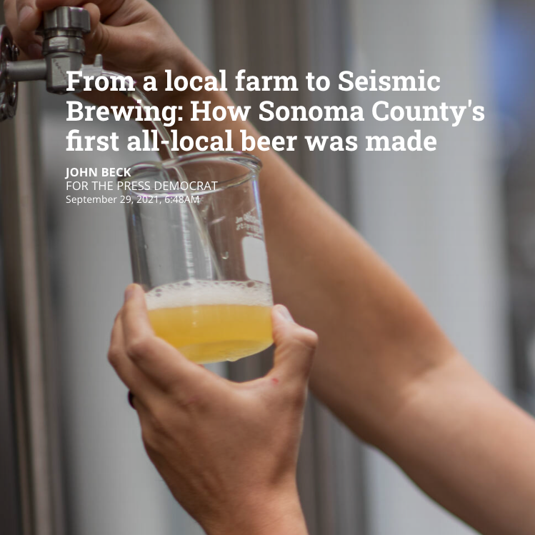 Image of From a local farm to Seismic Brewing: How Sonoma County's first all-local beer was made